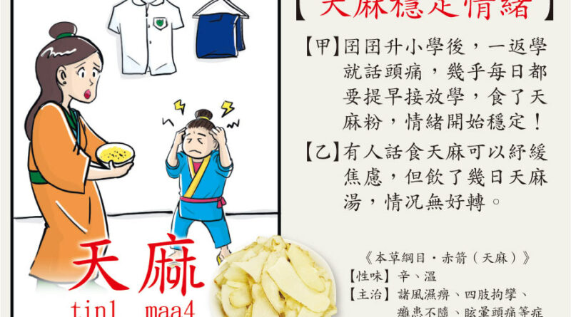 【中醫治療】天麻緩焦慮 治標不治本