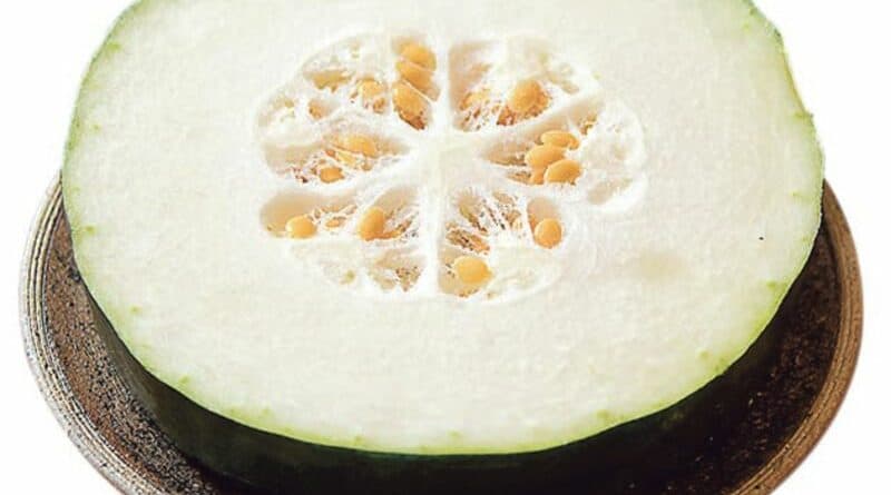 【營養要識】中醫湯水：健脾消暑煲冬瓜