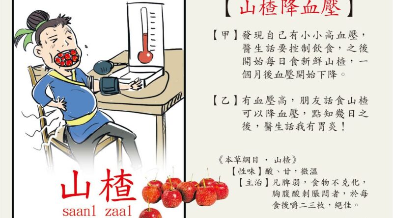 【中醫治療】山楂降血壓血脂 胃弱糖尿病勿試