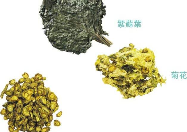 【中醫治療】養生帖：從感冒談到風藥的應用