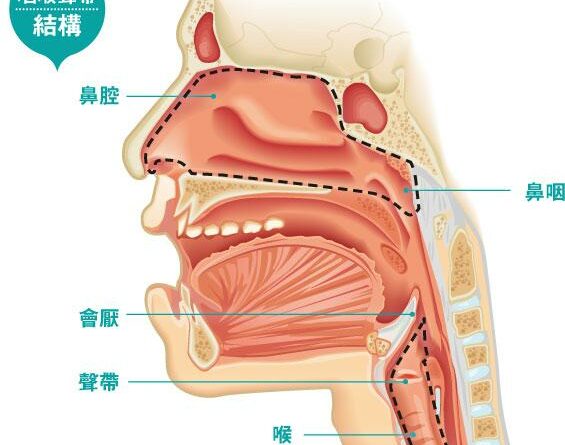 【頭頸癌症知多少】長期煙酒 易患口腔癌、喉癌
