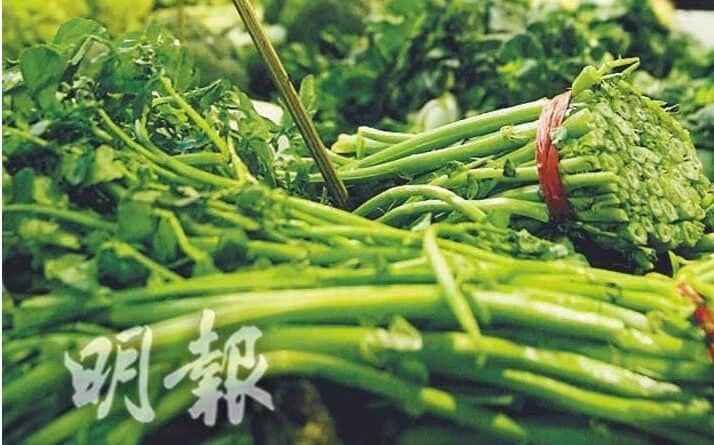 【便秘】便秘食菜一定通便？可能適得其反
