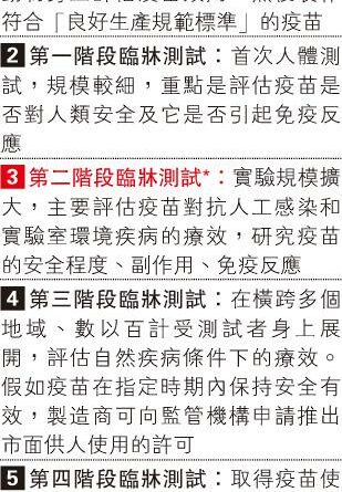 萬能HIV疫苗測試過首關 針對多種病毒株 激發人類免疫反應