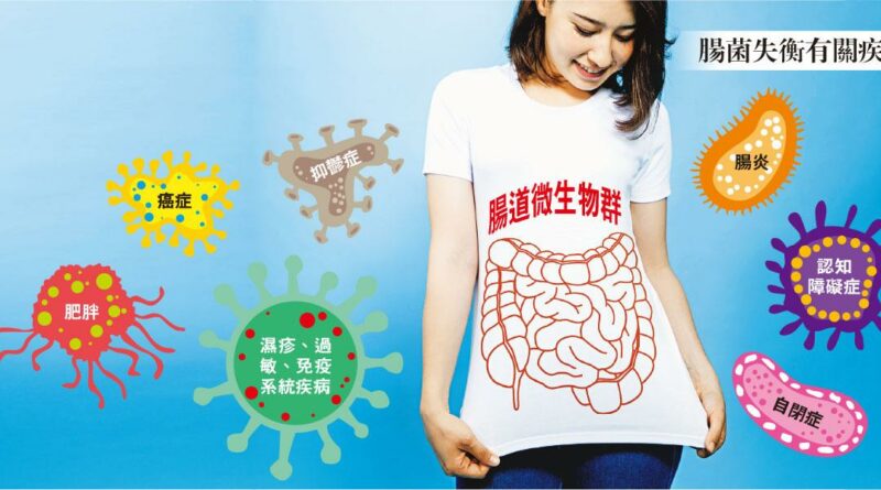 移植腸菌 能醫百病？