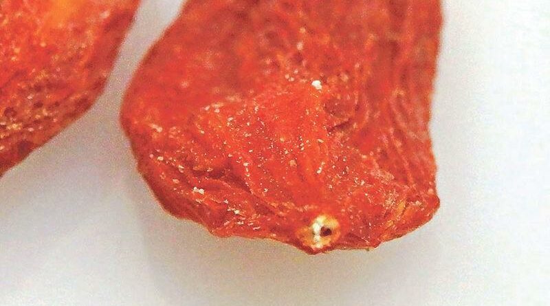 【中醫治療】中醫教路：椗位「留白」無染色