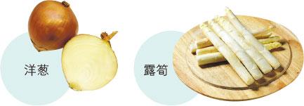 【益生菌】知多啲：益生元腸菌大餐 vs 益生菌增腸道表面保護