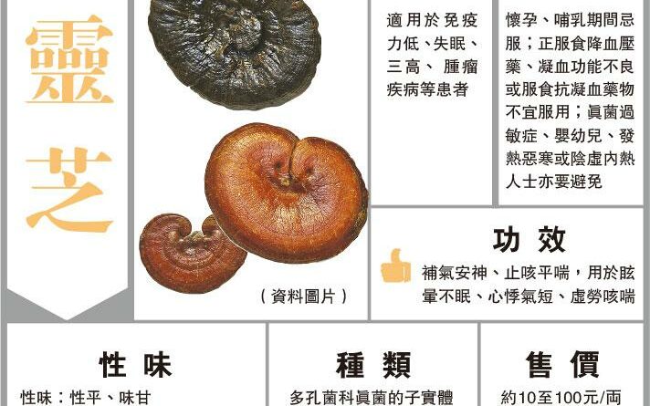 靈芝「延年神仙」 補過龍變上火 提升免疫力 止咳平喘安神
