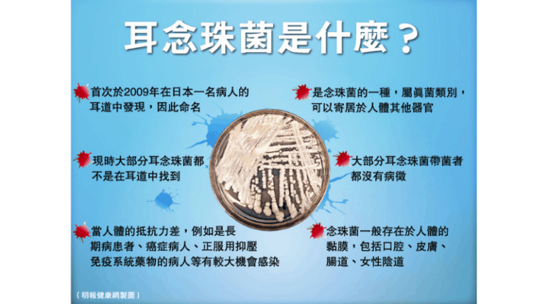 主頁