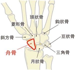 anatomical snuffbox_20210408_03