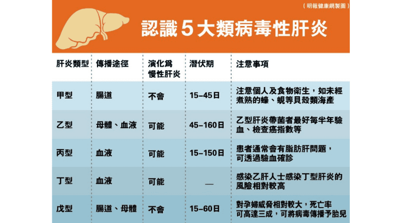【肝炎】拆解甲型至戊型5大類病毒性肝炎 歐美兒童急性肝炎首錄死亡 病徵：肝酵素升黃疸腹痛嘔吐 多患者驗出腺病毒