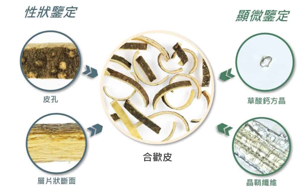 【中藥鑒定】衞生署研發簡易顯微技術加強中藥安全(衛生處方) 【中藥鑒定】衞生署研發簡易顯微技術加強中藥安全(衛生處方)