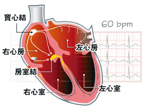 主頁