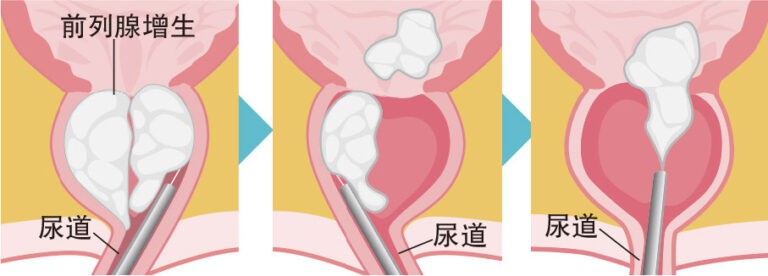 主頁