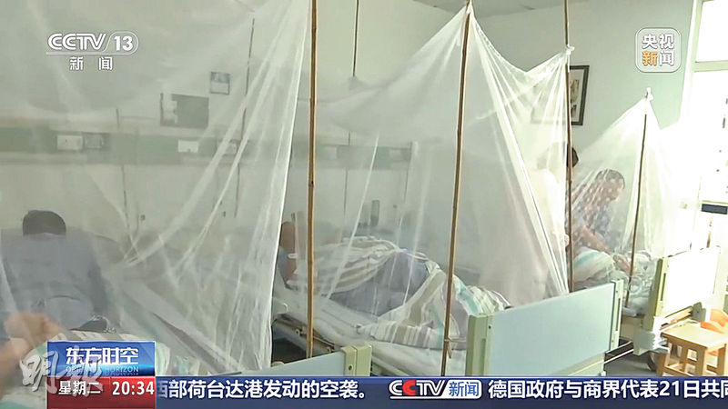 佛山爆基孔肯雅熱  世衛發警告免大規模爆發 袁國勇：可致嚴重關節炎、心臟病