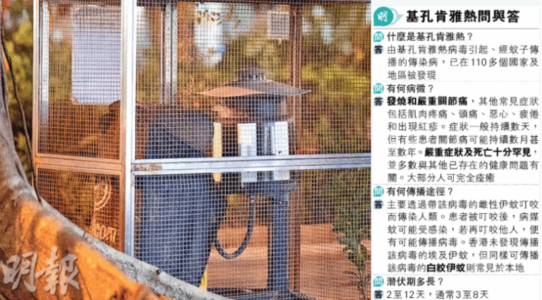 主頁
