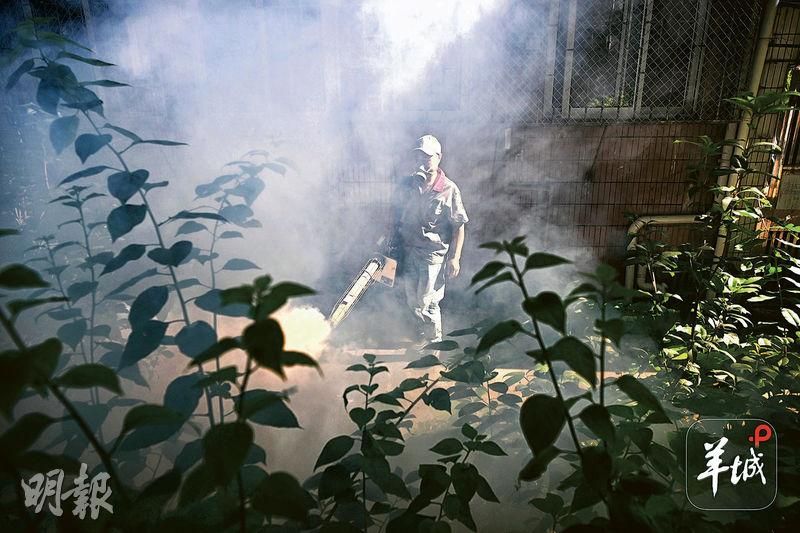 基孔肯亞熱多地爆發 衛健委:可母嬰傳播 暫無疫苗 基孔肯亞熱多地爆發 衛健委:可母嬰傳播 暫無疫苗