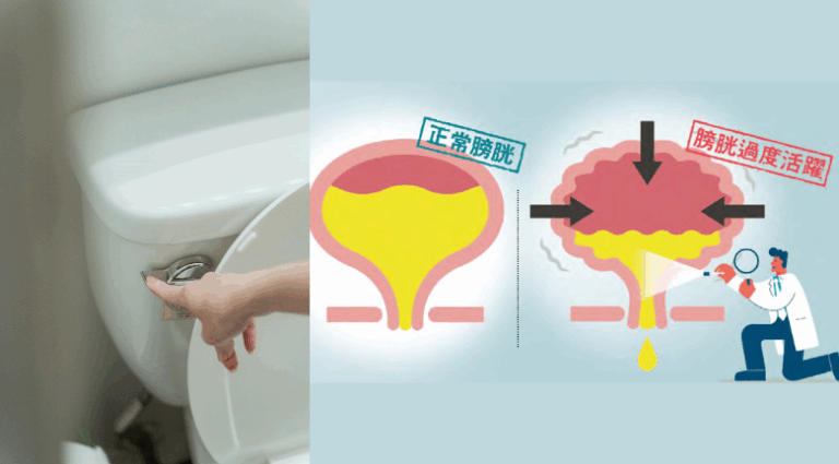 主頁