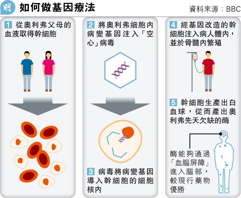 【遺傳病】3歲黏多醣症童接受基因療法取突破 改善活動和學習能力 【遺傳病】3歲黏多醣症童接受基因療法取突破 改善活動和學習能力