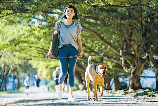 【提早更年期】本港女性平均51歲停經 小心30歲出現卵巢早衰 懷孕機會減