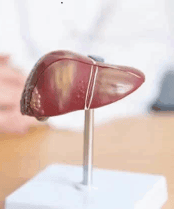 本港約5.6%人口、即約41萬人為慢性乙肝患者。透過篩查可早驗早處理。(設計圖片)