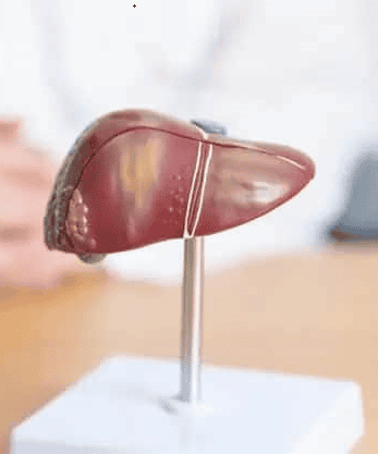 本港約5.6%人口、即約41萬人為慢性乙肝患者。透過篩查可早驗早處理。(設計圖片)