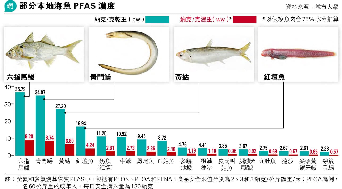 吃進口吞拿魚三文魚注意】PFAS是什麼?攝取過量或增患癌風險城大籲高危者少吃- 明報健康網