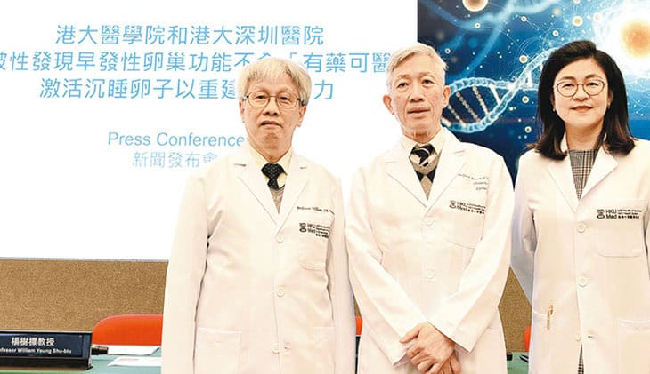 治療二型糖尿病相關腎病藥 港大研究:有望恢復「卵巢早衰」者生育能力 治療二型糖尿病相關腎病藥 港大研究:有望恢復「卵巢早衰」者生育能力