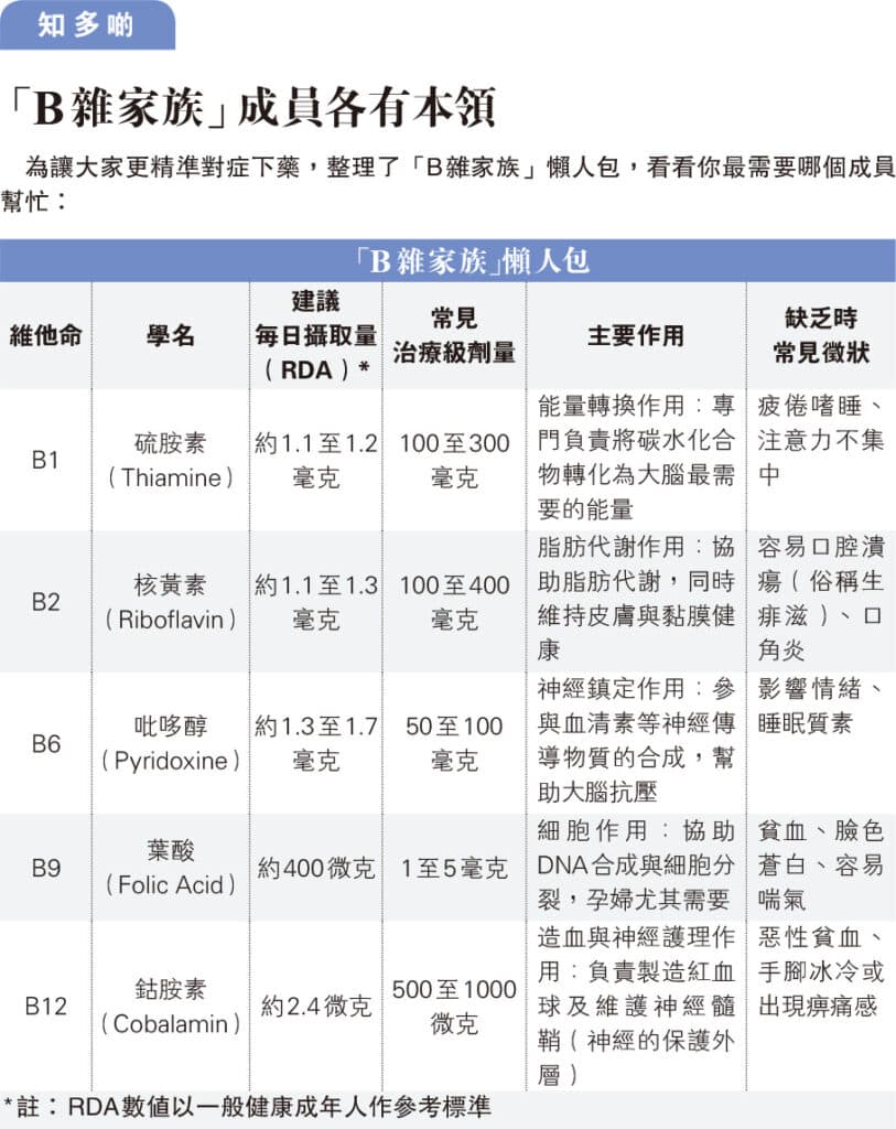 【B雜功效】春天濕氣重易疲倦嗜睡  B1助提神？認識維他命B雜家族不同本領