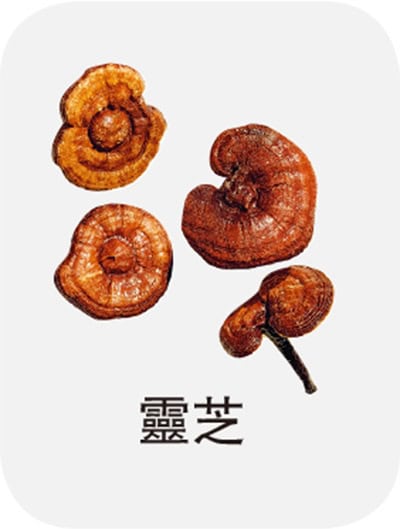 【與癌共存】中醫眼中5個癌症成因:情緒、飲食、遺傳、不良生活習慣等 【與癌共存】中醫眼中5個癌症成因:情緒、飲食、遺傳、不良生活習慣等