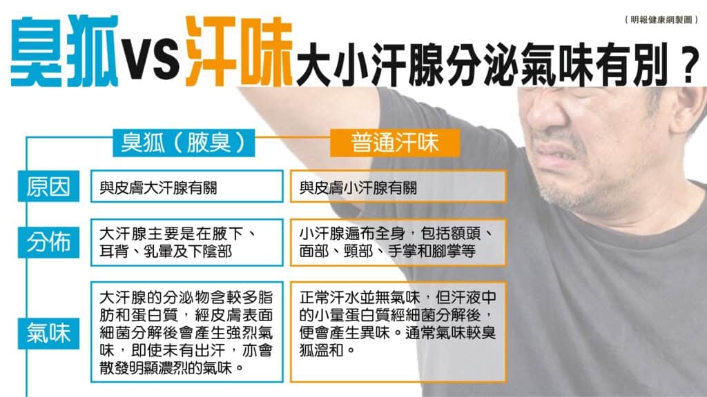 【臭狐與多汗症】大小汗腺分泌有別 治療與勤抹汗助改善(附止汗劑使用貼士) 【臭狐與多汗症】大小汗腺分泌有別 治療與勤抹汗助改善(附止汗劑使用貼士)