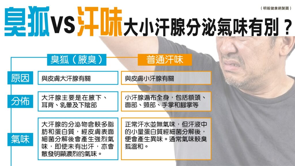 主頁