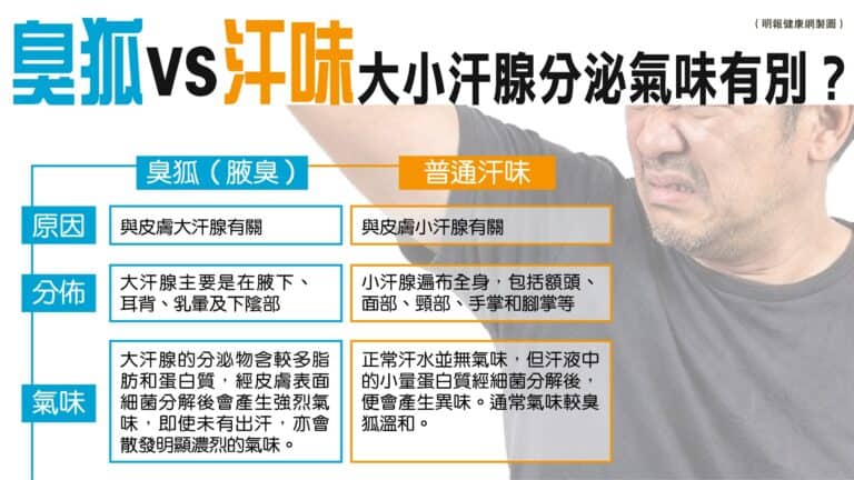主頁