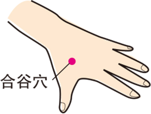【養生保健】每日按合谷穴幾分鐘 調理小毛病 提升身體修復能力 【養生保健】每日按合谷穴幾分鐘 調理小毛病 提升身體修復能力